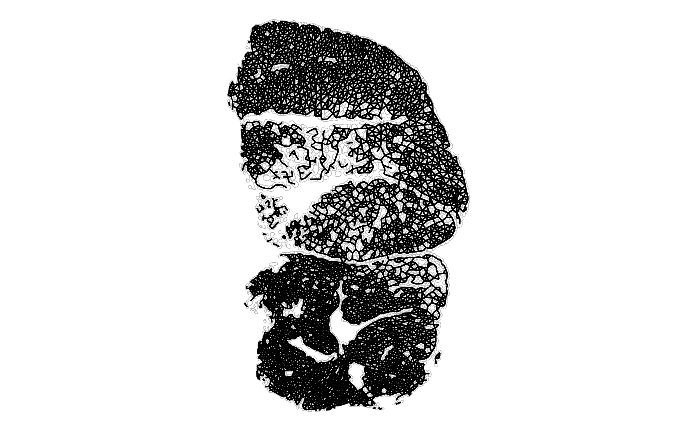 Spatial neighborhood graph of myofibers, where each edge connects two myofibers that touch.